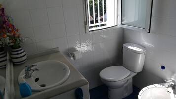 Shower, hair dryer, bidet, towels