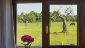 A window with a view of a grassy field, a tree, and a horse. - Pool & Spa House Betiga 2 (Vodnjan)