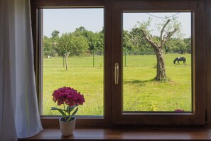 Family House, Multiple Bedrooms (Pool & Spa House Betiga 2) | Interior
