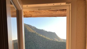 Una pianta in vaso su una mensola in pietra vicino a una finestra con vista su una montagna boscosa.