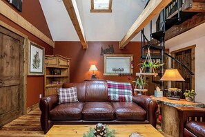 Télévision, cheminée, lecteur de DVD, espaces bureaux