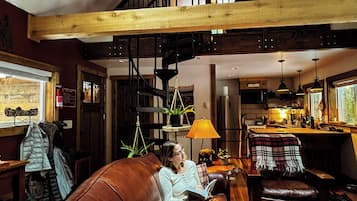 Fernseher, Kamin, DVD-Player, Arbeitsbereiche