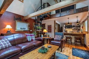 Télévision, cheminée, lecteur de DVD, espaces bureaux