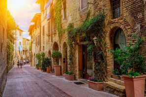 A narrow street lined with historic buildings, featuring arched doorways and potted plants. - Betulla C (San Gimignano)