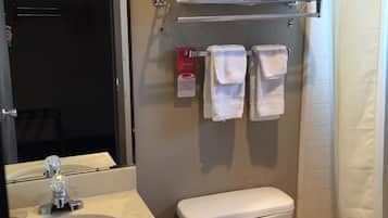 Separate bathtub and shower, hair dryer