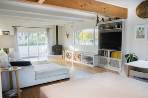 TV, fireplace, Netflix, streaming services