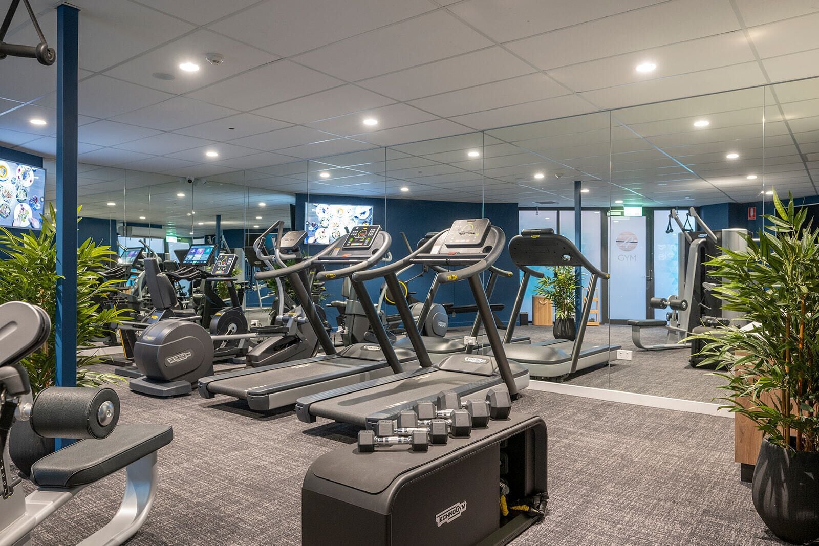 A gym with treadmills, ellipticals, and weight machines, carpeted flooring, and potted plants.