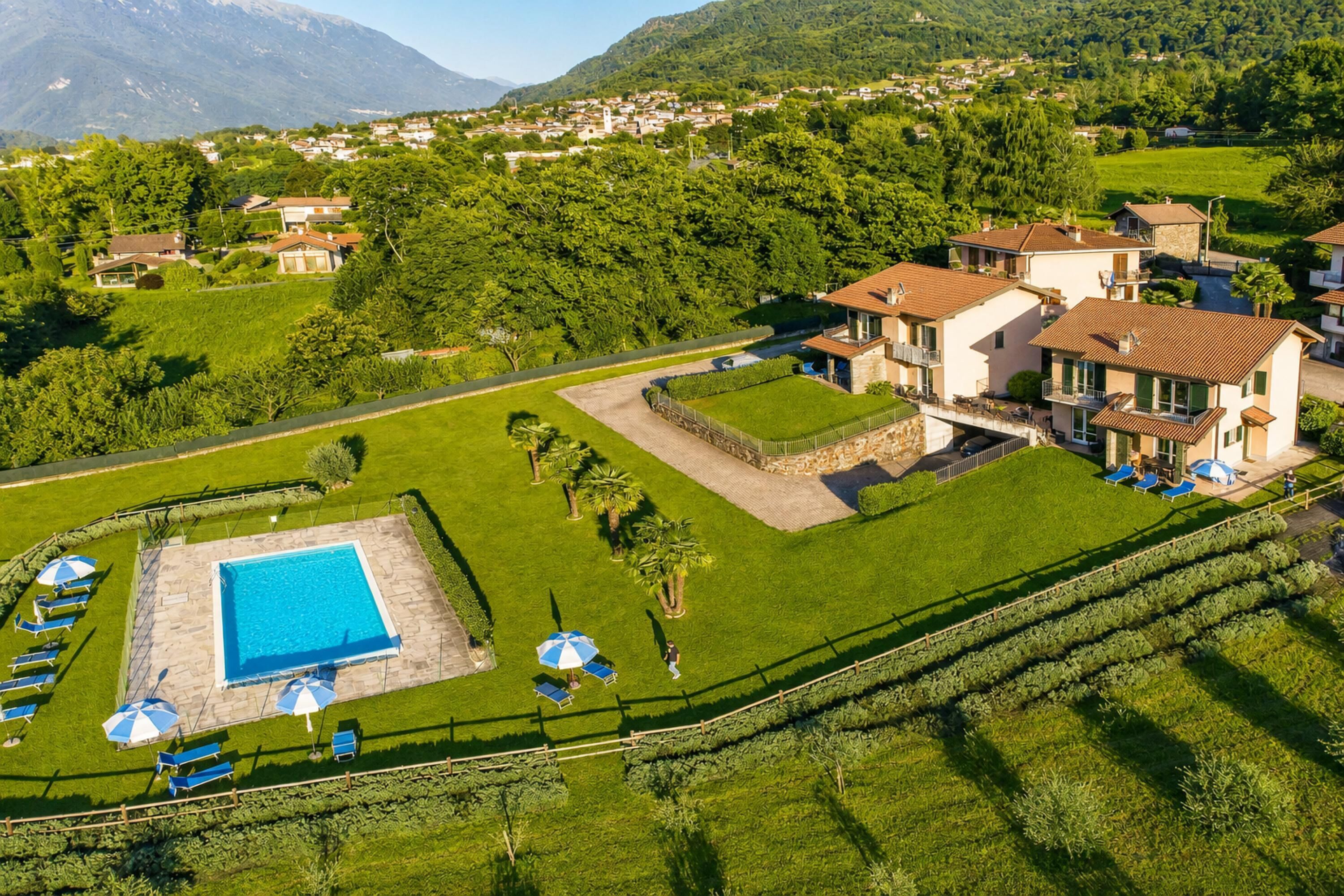 A residential area with a swimming pool, multiple houses, and lush greenery.