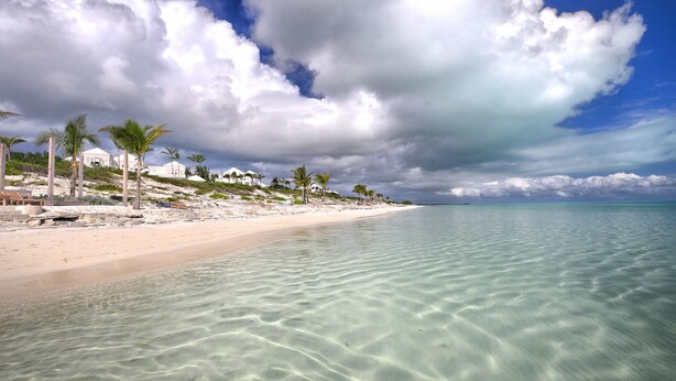 Una playa con agua turquesa cristalina, orilla de arena blanca y palmeras.