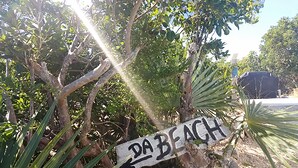 Un letrero indica 'DA BEACH' con un sendero de tierra y follaje a su alrededor.