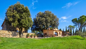 A villa with a stone wall, a large tree, and a well-maintained lawn. - Paradiso Villas (Casole d'Elsa)