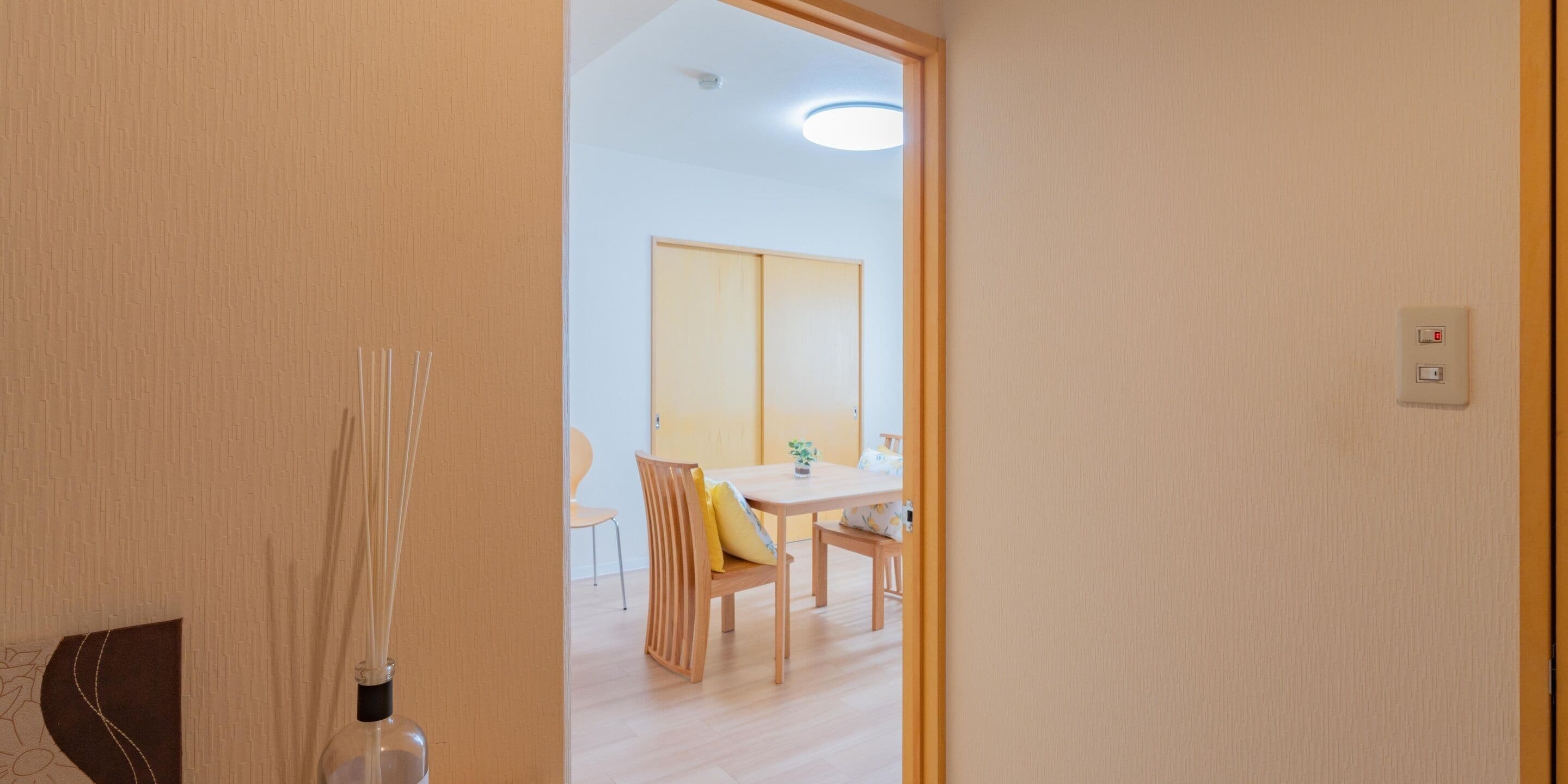 A room with a wooden door, a table with chairs, a small plant, and a ceiling light.