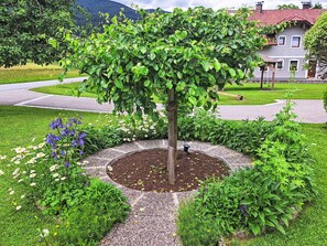 Terrain de l’hébergement 