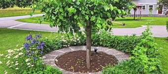 Beautiful apartment in villa for 4 guests with WIFI, TV and balcony