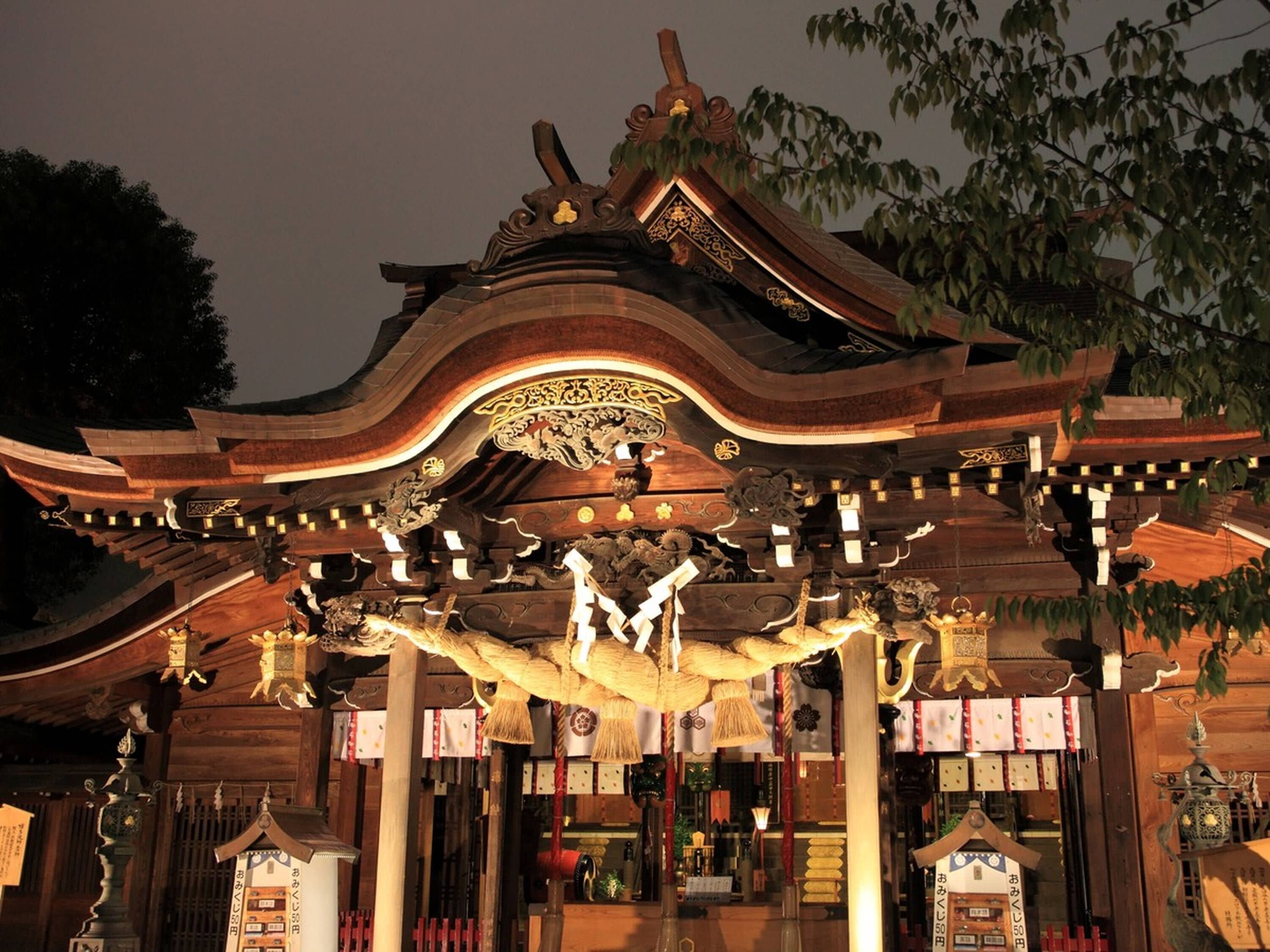 land view from property