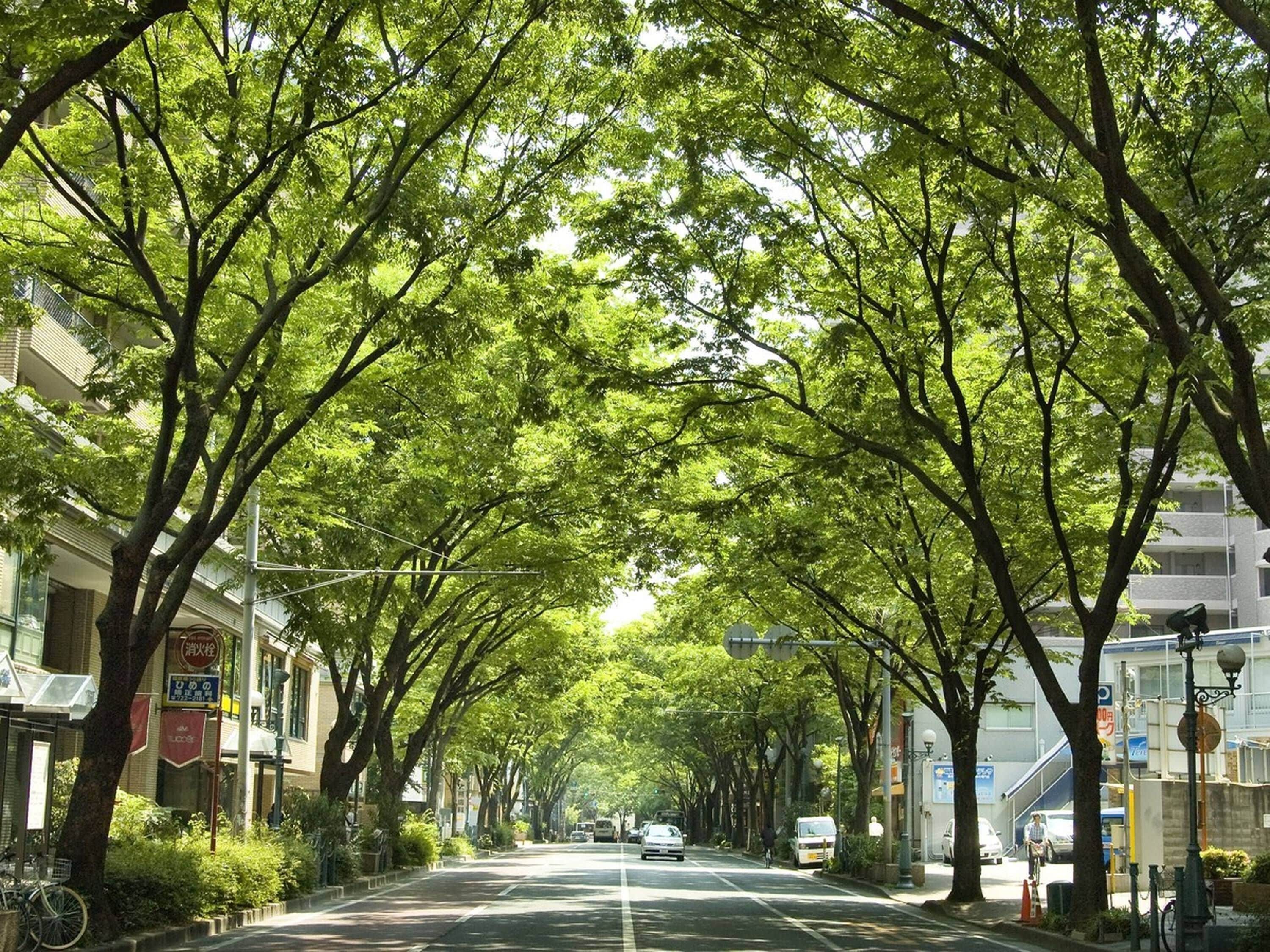 Photo - APA Hotel Hakataeki Chikushiguchi