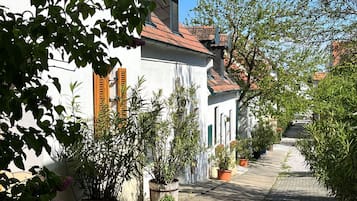 Ulkoalueet