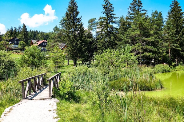 A wooden bridge leading to a pond surrounded by dense trees and a few houses in the background.