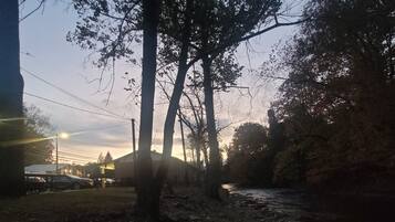 Orilla de río con árboles y un edificio al fondo.
