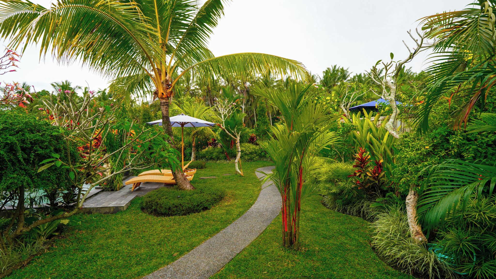 Piscine extérieure, chaises longues
