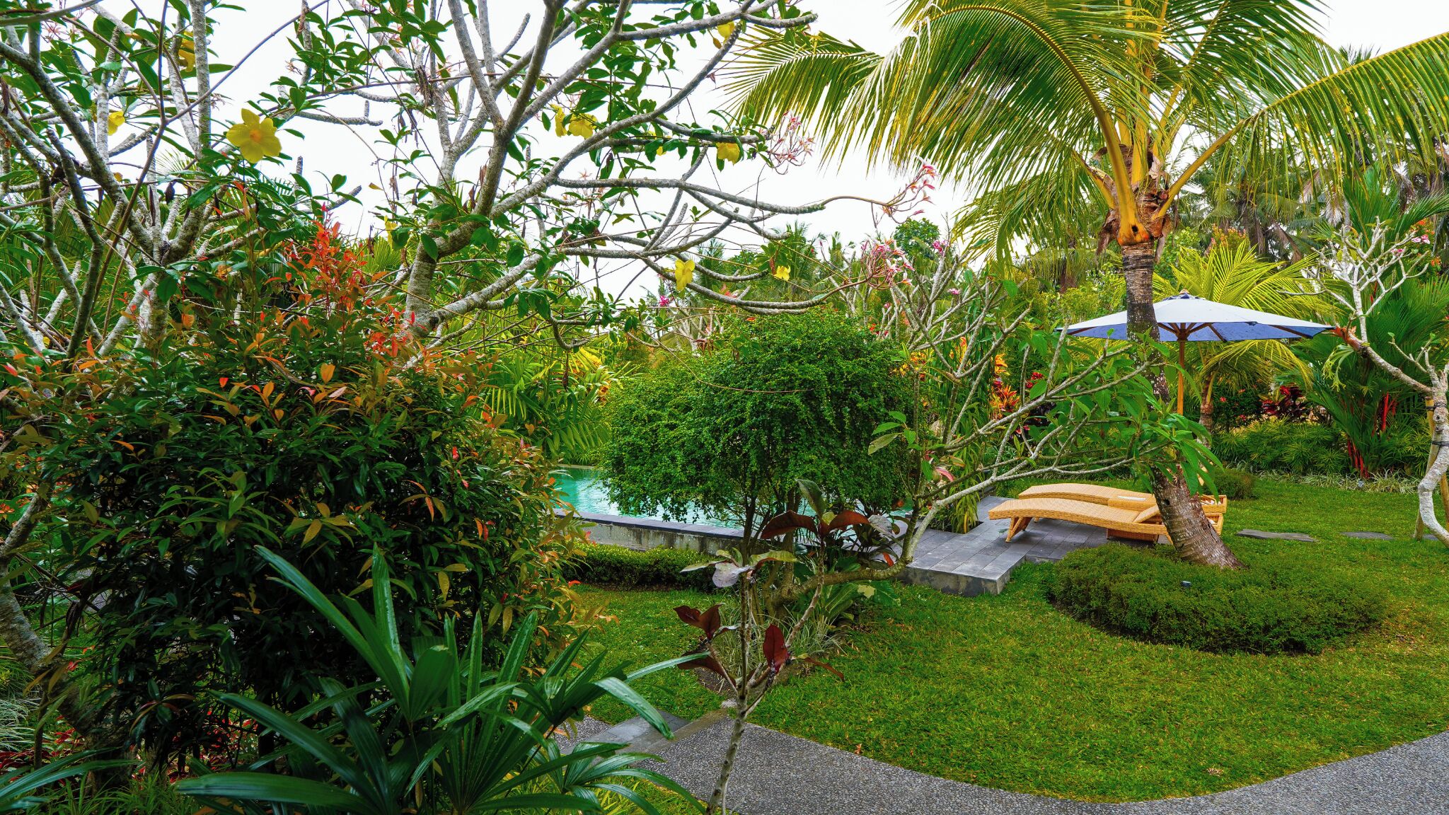 Photo - Green Coconut Cottage