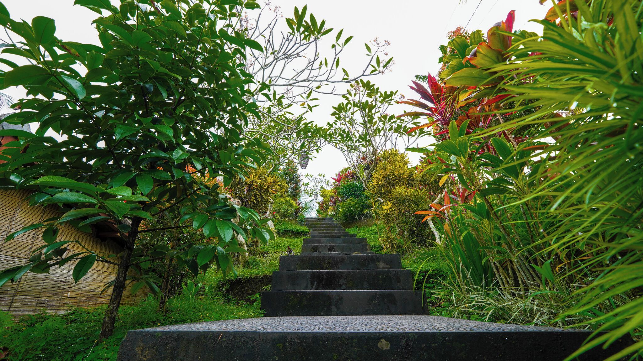 Una escalera de piedra rodeada de abundante vegetación y plantas diversas.