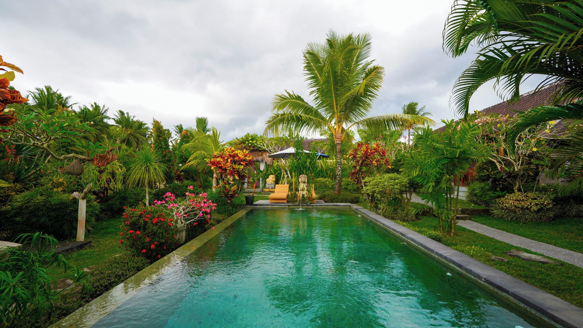 Outdoor pool, sun loungers