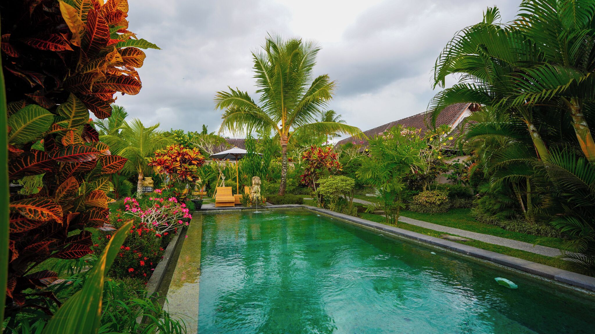 Foto - Green Coconut Cottage