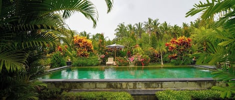 Outdoor pool, pool loungers