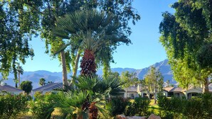 A patio area with a beige cushion, surrounded by lush greenery and palm trees, overlooking a mountain range and a row of houses.