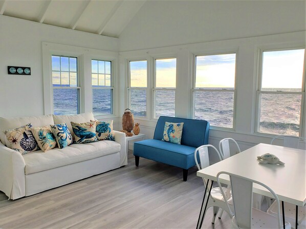 TV, fireplace, books