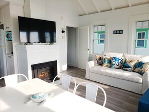 TV, fireplace, books
