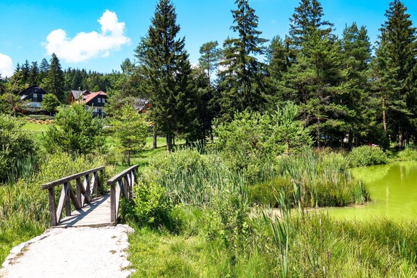 A wooden bridge leading to a pond surrounded by dense trees and a few houses in the background. - Krasevec Lodge With Garden & Pool (Bloke)