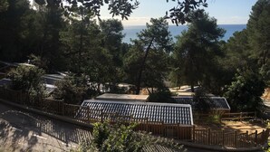Zona costera con vista al mar, rodeada de árboles frondosos y una valla de madera.