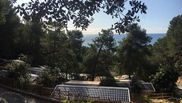 Premium Mobile Home, 2 Bedrooms | View from room