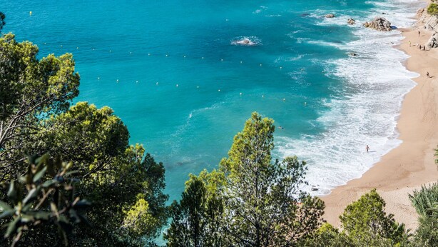 Paisaje costero con aguas turquesas cristalinas, una playa arenosa y abundante vegetación verde en una ladera.