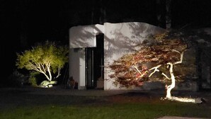 Un edificio con fachada blanca, una puerta negra y un árbol con hojas rojas al frente.
