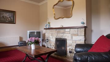 House | Living room | Fireplace