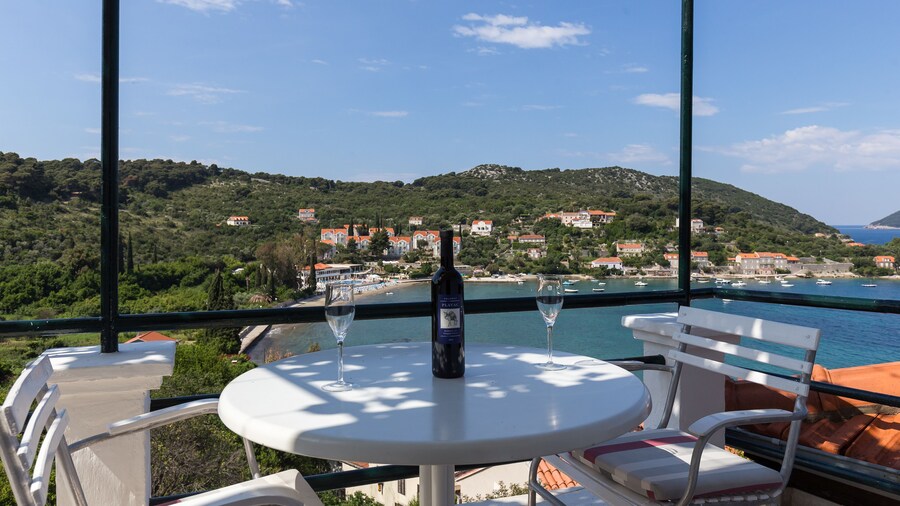 Apartments Miskovic