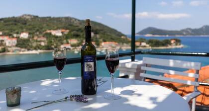 Apartments Miskovic