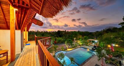 NG Sweet Home