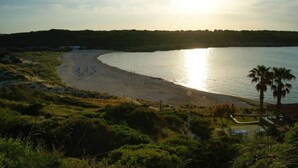 Ein Strand mit gewundener Küstenlinie, Palmen und einer entfernten Hügelkette.