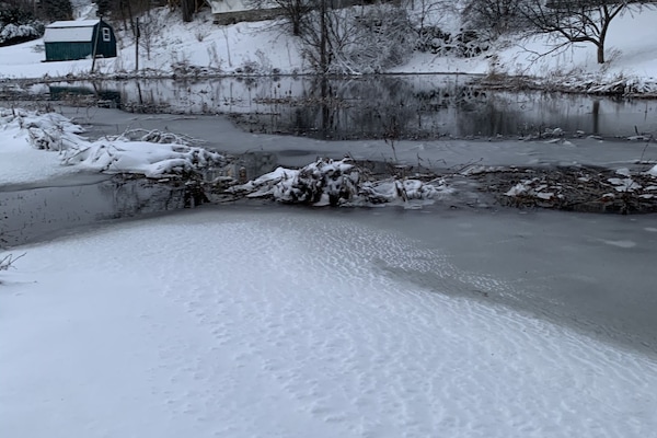 Àrea exterior de l'allotjament