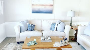 TV connectée, cheminée, lecteur de DVD, vidéothèque