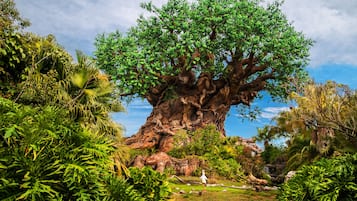 A large tree with a thick trunk and dense foliage, surrounded by various tropical plants and a small waterfall.