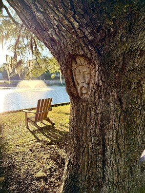 المنطقة المحيطة بالمنشأة