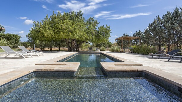 A rectangular pool with clear water, surrounded by lounge chairs and trees. - Fantastic villa with 4 bedrooms, 3 bathrooms, wifi, barbecue, terraces and pool (Binissalem)