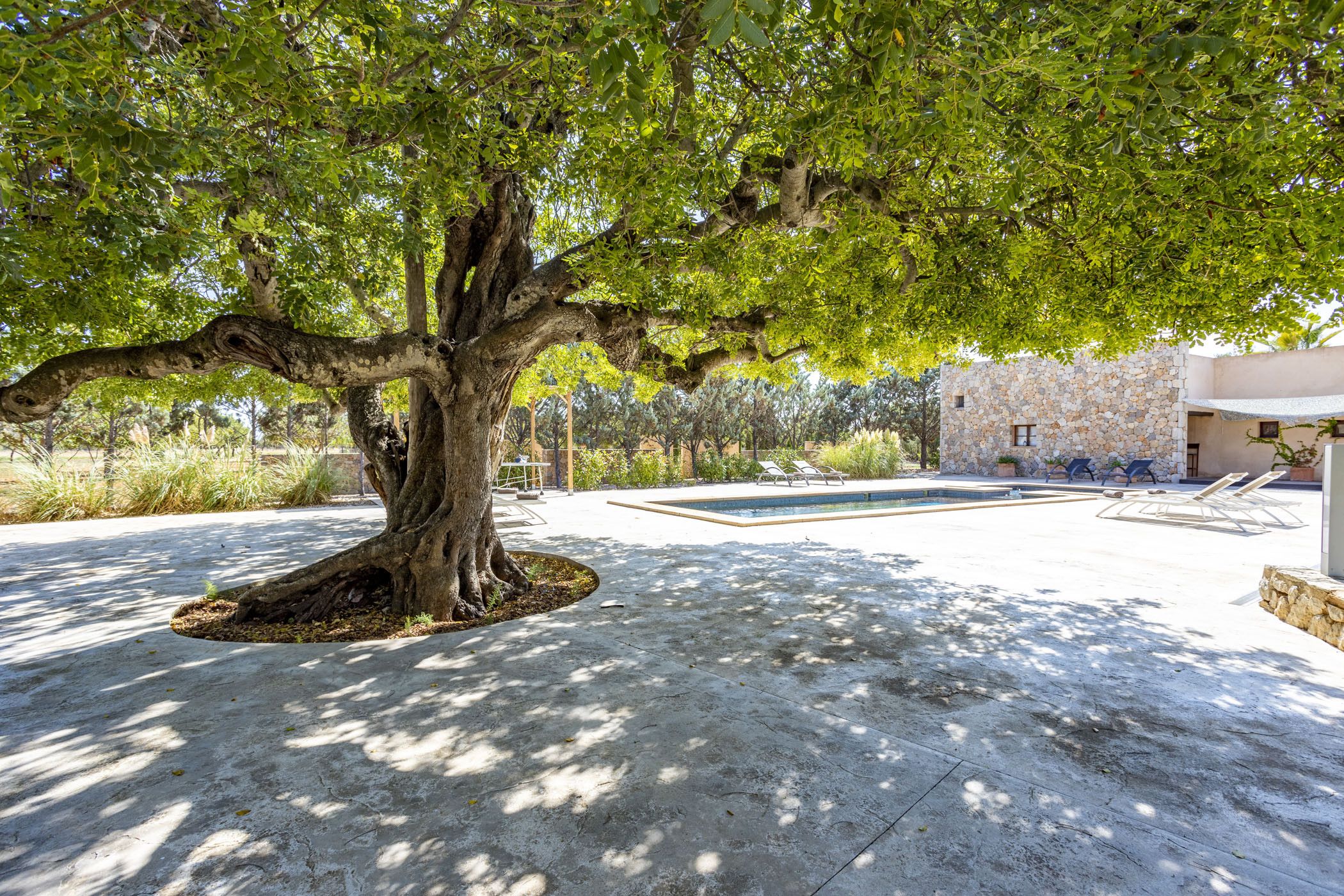 A tree-lined courtyard with a stone building, a swimming pool, and lounge chairs.