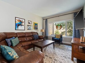 Fernseher, Kamin, Netflix, Bücher