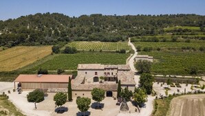 A rural property with a central building surrounded by vineyards, a paved driveway, and a few trees.